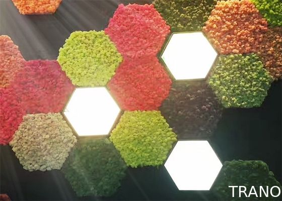 Nature Moss 3d Acoustic Wall Panels For Walls Green Plant Decoration Mildew Proof