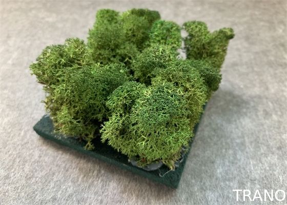 Nature Moss 3d Acoustic Wall Panels For Walls Green Plant Decoration Mildew Proof